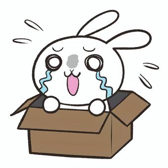 10年以上売れ残っていた土地を買ってみた話