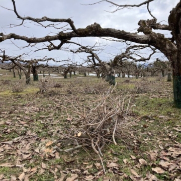 副業から始まる仕事のご縁