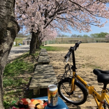 仕事に疲れた日は、平日に一人でお花見