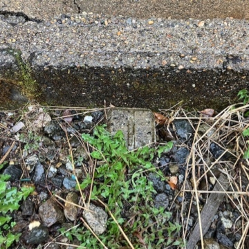 見えにくいけど大事、境界杭の確認