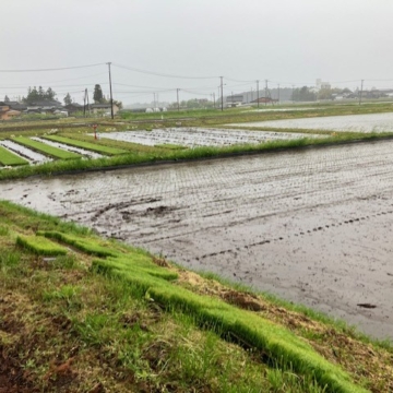 雨と風と打ち合わせ、さすがに詰め込みすぎました
