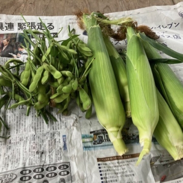 採れたて野菜が毎日届く、実家の近くに住む幸せ