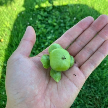 効率は悪くても、物件探しはこのやり方が一番