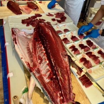 住宅展示場でまさかのマグロ解体ショー