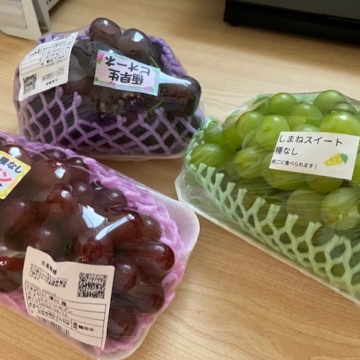 お盆明けからフル稼働、仕事があるってやはり楽しい